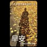 早安這世界(卡地夫) 5