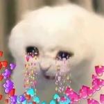 Have a deep breath🫁