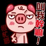 夏日，太阳定暖嘅，有微风仲有花草香🌸 好似你嘅感觉，淡淡嘅，温柔嘅，但系零舍明亮嘅