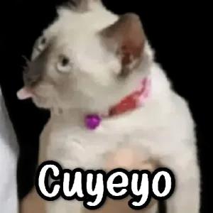 Cuyeyo - getsticker.com