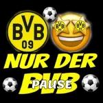 NUR DER BVB 