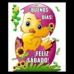Charo