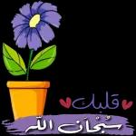 قلبي يحبك يا الله