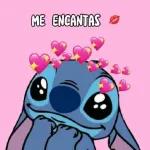 +
@paraguayita_01
Y vendrán cosas
peores dice la Biblia