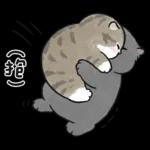 愛撒嬌的奶油小生 (虎斑貓)