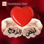 صباح الورد لأطيب قلب
