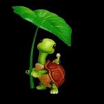 Süße kleine Schildkröte