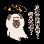 圓圓胖狗和愉快的小夥伴們
