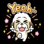 豆卡頻道x性平協會 陪你說出心裡話