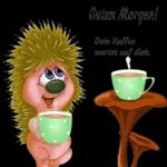 Moin