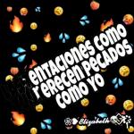 @Harley_StickersPuñito