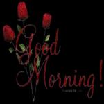 Good morning