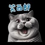 起肖貓貓★台語卡唬爛!