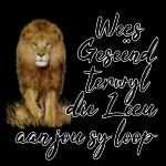 have a nice day
