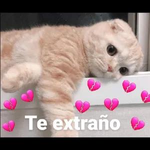 UHJA1L