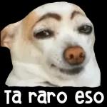 Porqué no me contestas