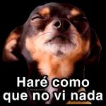 Todo Bien!!
