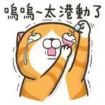 沒錢了...是嗎？捶心肝啊！