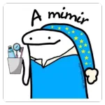 Qué oso 🫣