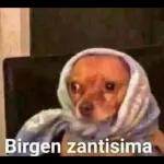 Birgen zantisima