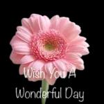 good morning