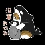 鯊魚貓咪 2