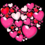 love and rose