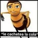 ¿Más memes iiSi, más memes! 2