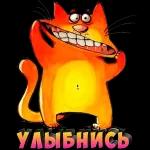 анимация 