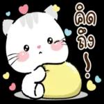 เรื่องมันเศร้า เล่าแล้วน้ำตาจิไหล…