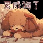 紅色玩具貴賓犬