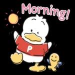 Pekkle Duck