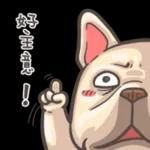 法鬥皮古-豬朋狗友 
