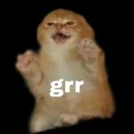 Lo siento señores,
NO Siempre se tiene
Lo que se desea