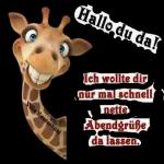 Hab dich lieb