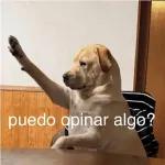puedo opinar algo?