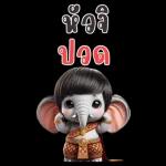 ช่วงนี้ปวด