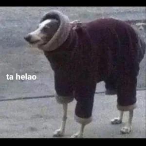 AD0FvY