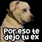 TE LO ANDAS COGIENDO?