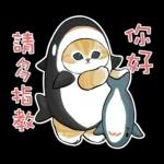 鯊魚貓咪 2