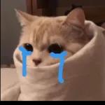 Have a deep breath🫁