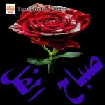 لله الله دائما وأبدا