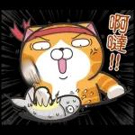 白爛貓11☆超級萌☆