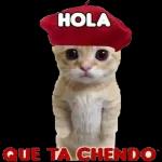 TOYCON FLOJERA@rose stickersAl máximo