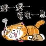 白爛貓45☆打工仔☆