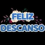 mis cosas