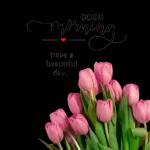 good morning