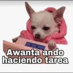 Awanta ando haciendo tarea