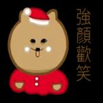 狐狸博美犬 2 x聖誕節