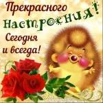 с добрым утром 🌞😊🌺